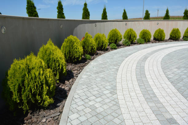 Best Interlocking Driveway Pavers  in Lusk, WY